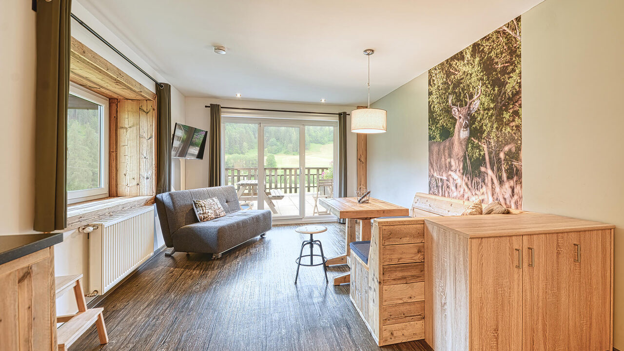 Open-plan living area with kitchen, sofa and terrace door in the Strohsack apartment