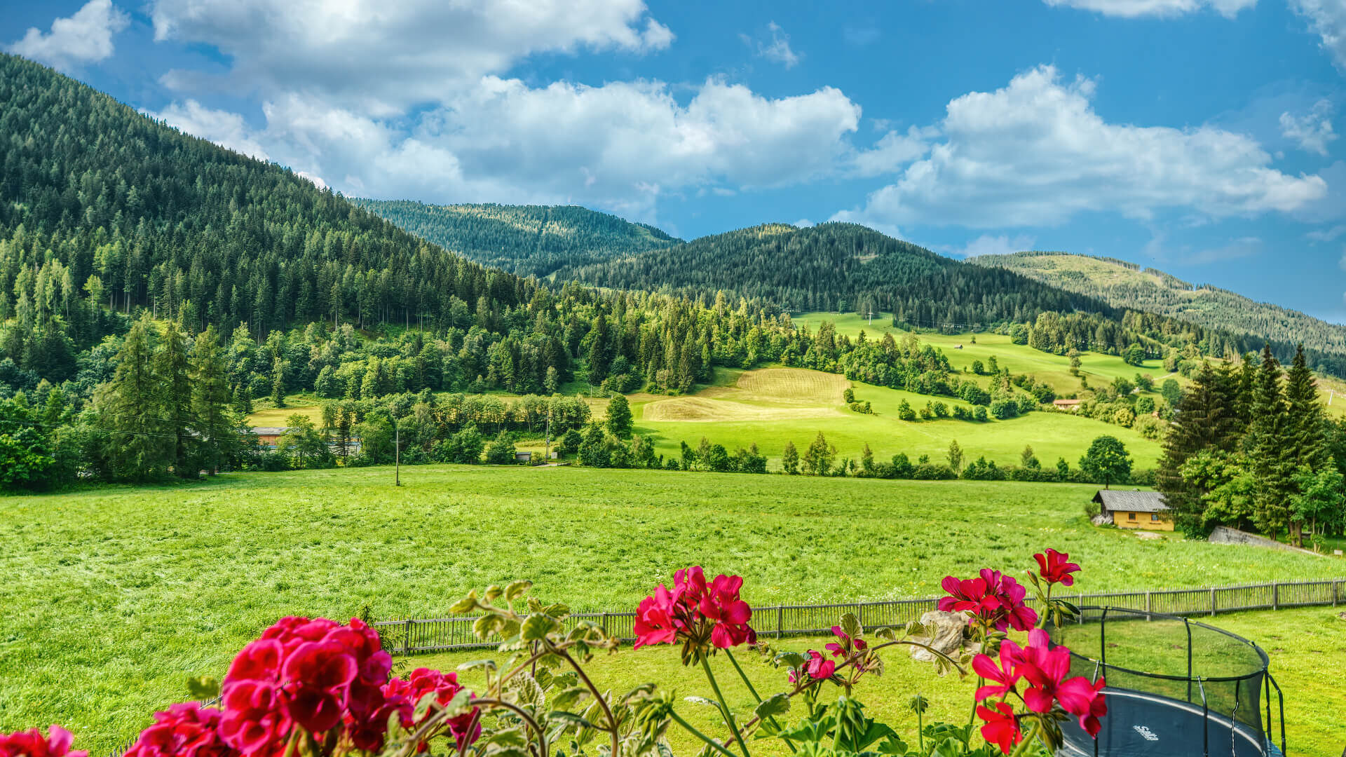 Ausblick über rote Geranien auf grüne Wiesen und bewaldete Berge