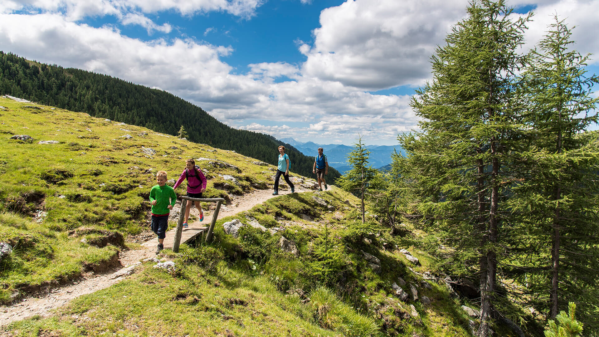 Group of hikers on a mountain trail among larch trees